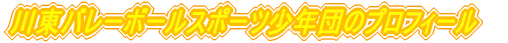 �쓌�o���[�{�[���X�|�[�c���N�c�̃v���t�B�[��