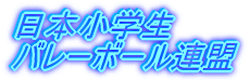 ���{���w�� �o���[�{�[���A��