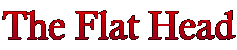 The Flat Head
