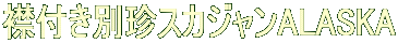 ݕtʒXJWALASKA
