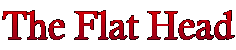 The Flat Head
