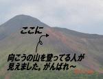 登ってるのが見えた。がんばれーーーー