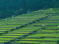 坂元棚田