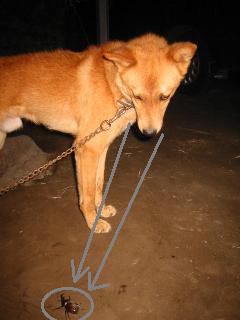 この後を動きで見せられない事が残念