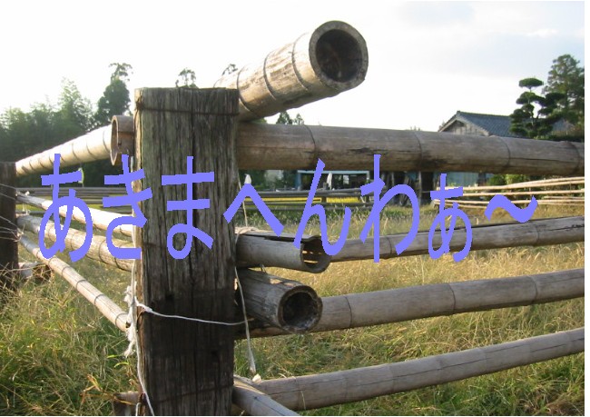 �܁A�����������Ƃ�������āI