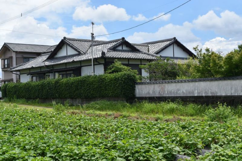 全景写真