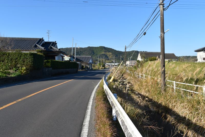 画像案内