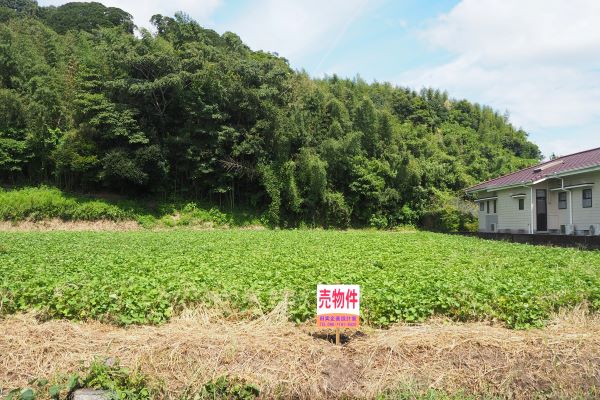 全景写真