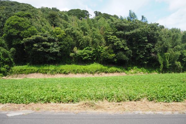 全景写真
