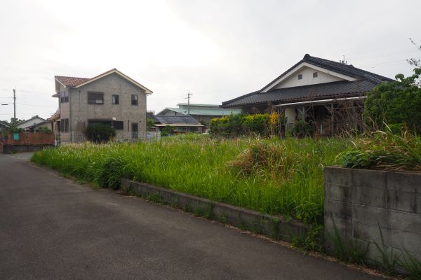 全景写真
