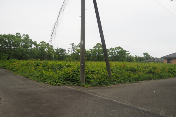 全景写真
