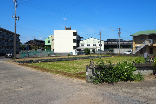 全景写真