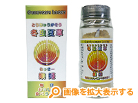 冬虫夏草　樂姫 (らっきー)